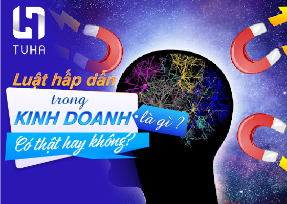 Luật hấp dẫn trong kinh doanh là gì? Có thật hay không?