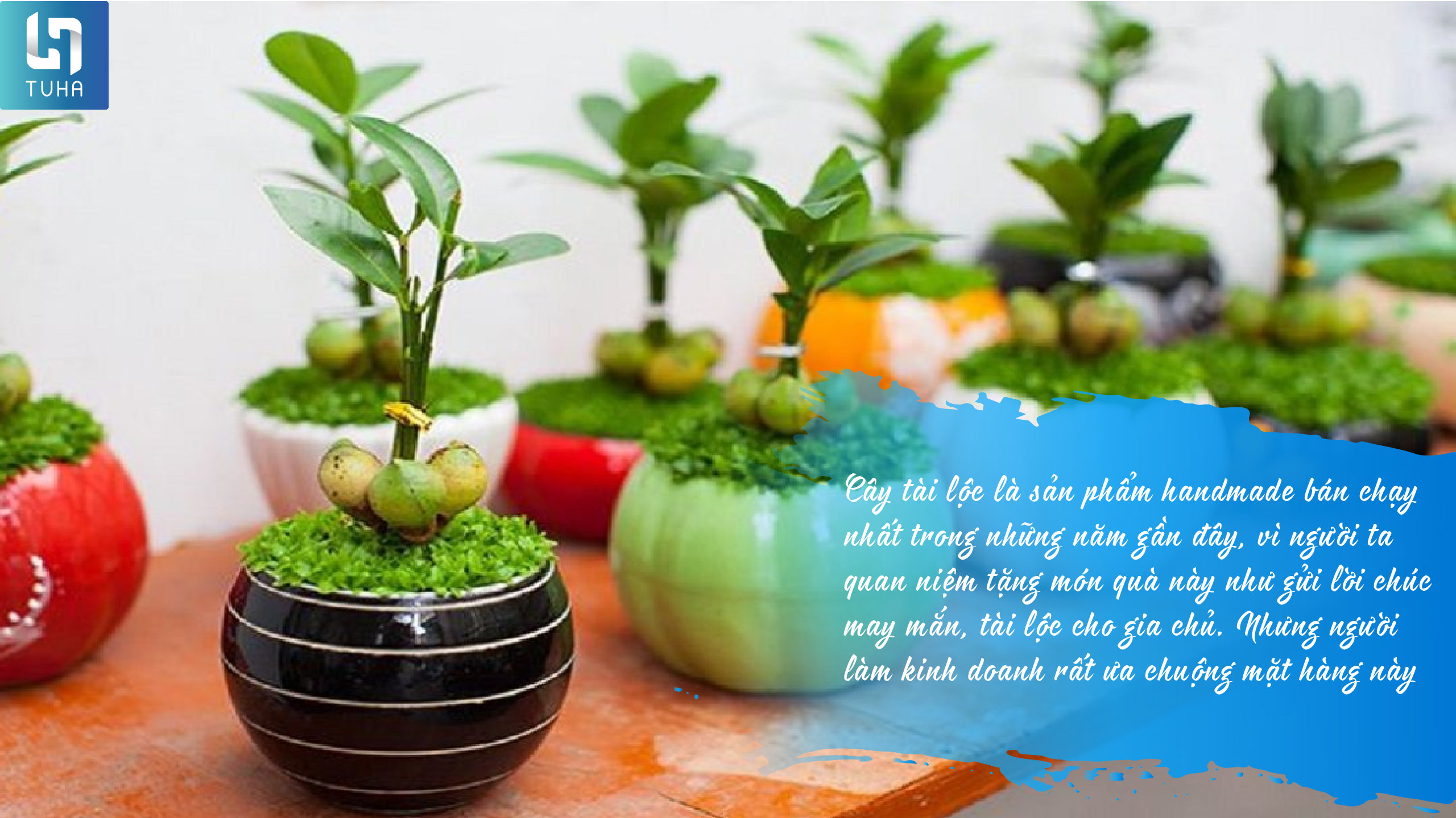  HANDMADE SỬ DỤNG (2)