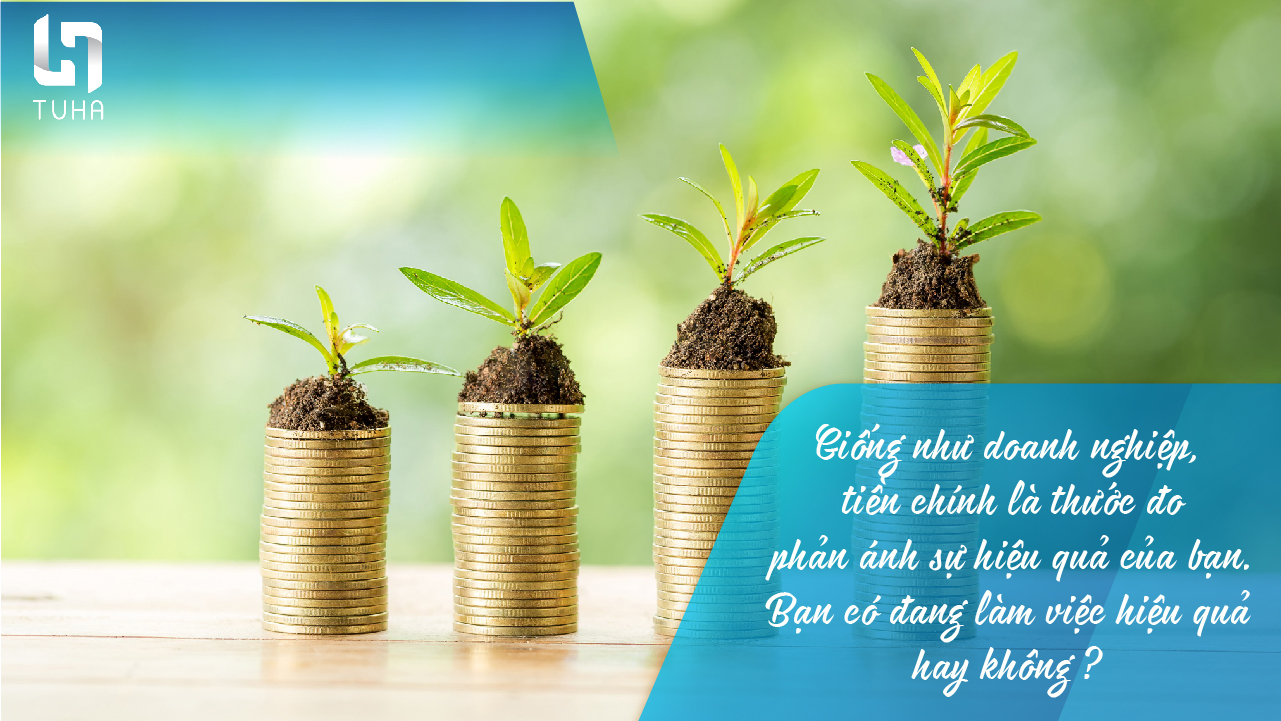 cơ sở nào để đánh giá về sự hiệu quả