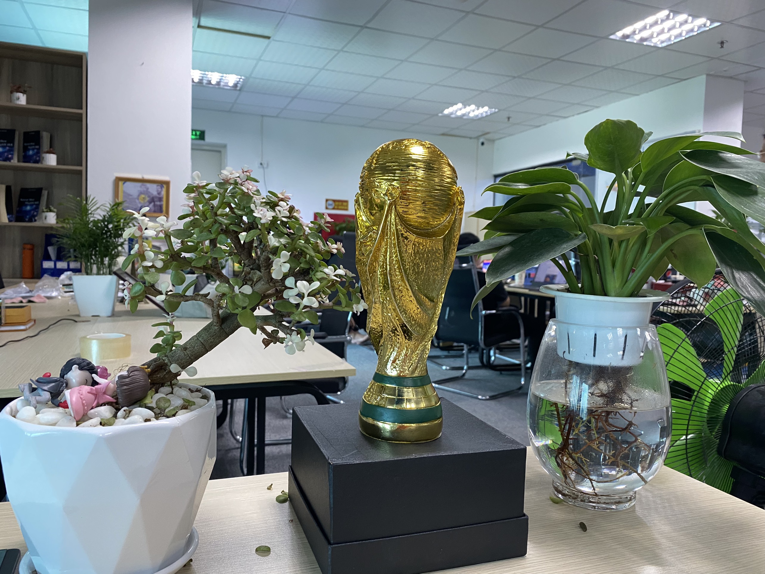 Pal Việt Nam Playstation 2