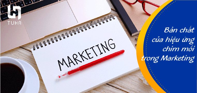 Bản chất của hiệu ứng chim mồi trong Marketing