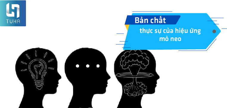 Bản chất thực sự của hiệu ứng mỏ neo