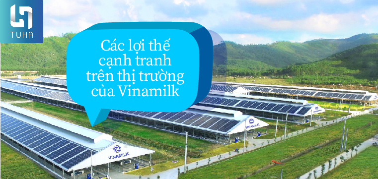Các lợi thế cạnh tranh trên thị trường của Vinamilk