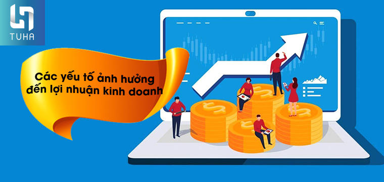Các yếu tố ảnh hưởng đến lợi nhuận kinh doanh