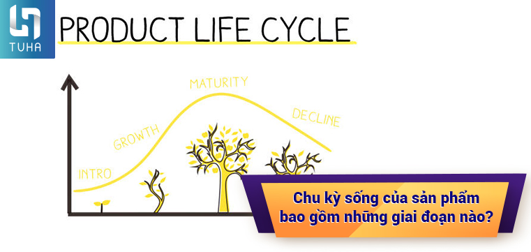 chu kì sống sản phẩm  CHIẾN LƯỢC CHU KÌ SỐNG SẢN PHẨM 1 Chu kỳ sống của sản  phẩm là gì Trong tiếng  Studocu