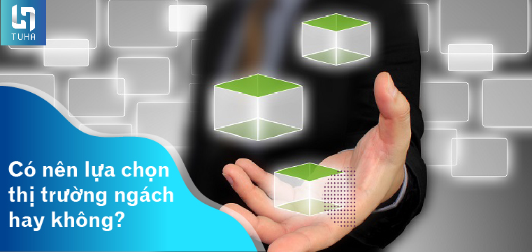 Có nên lựa chọn thị trường ngách hay không?