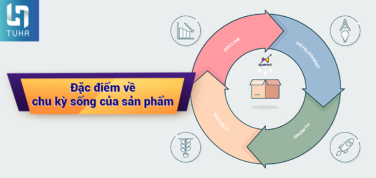Đặc điểm về chu kỳ sống của sản phẩm