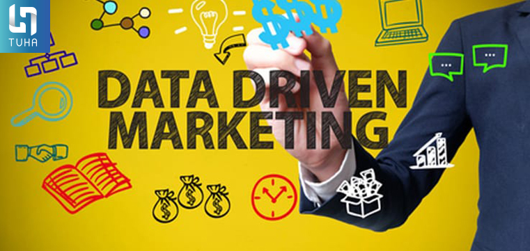 Data-Driven Marketing (Tiếp thị dựa trên dữ liệu)