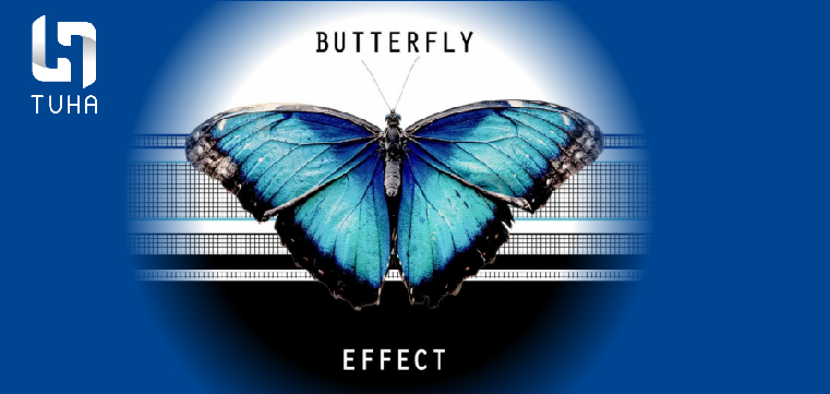 Hiệu ứng cánh bướm là gì?