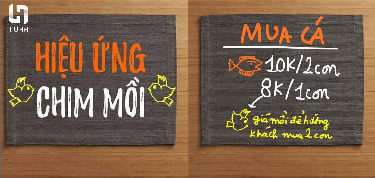 Hiệu ứng chim mồi là gì?