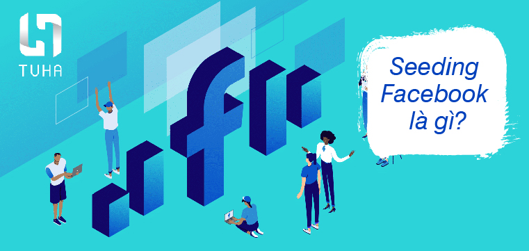 Seeding Facebook là gì?