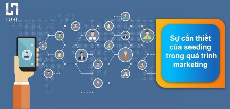 Sự cần thiết của seeding trong quá trình marketing