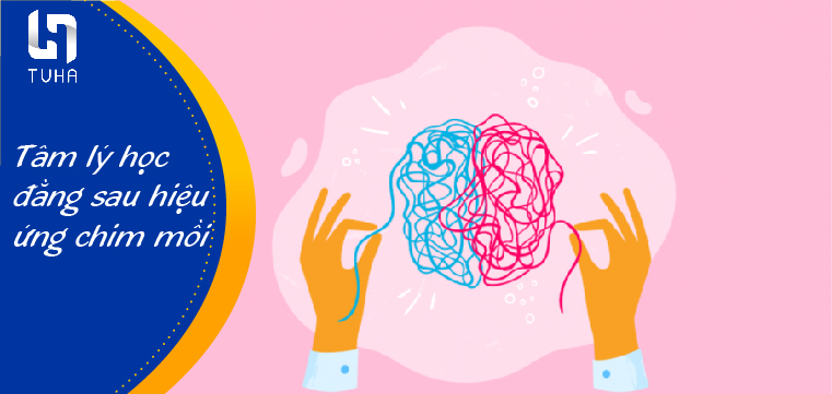 Tâm lý học đằng sau hiệu ứng chim mồi