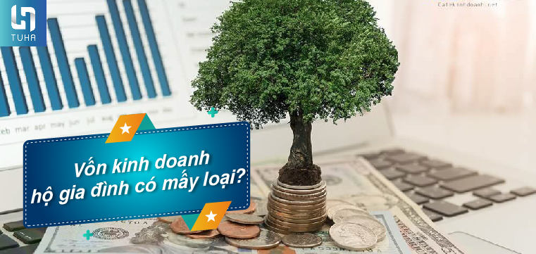 Vốn kinh doanh hộ gia đình có mấy loại?
