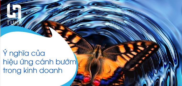 Ý nghĩa của hiệu ứng cánh bướm trong kinh doanh